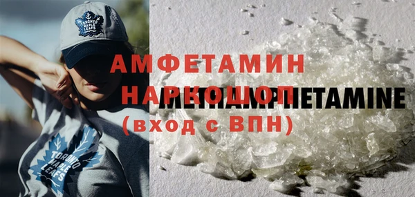 дмт Алзамай