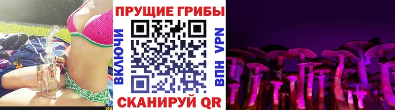 Купить закладки  Геленджик  Псилоцибиновые грибы Psilocybe 
